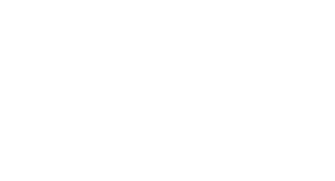 Leicester City FC Logo